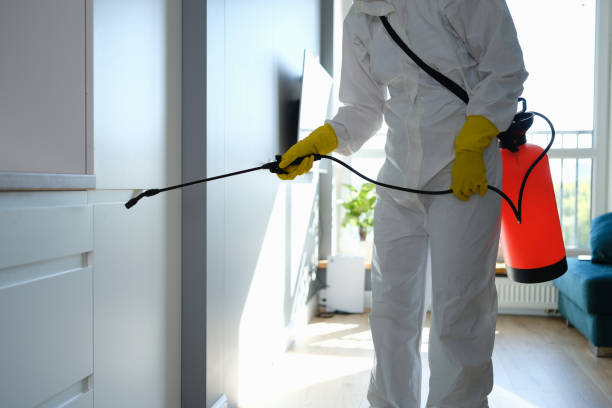 Best Crawl Space Mold Removal  in Yermo, CA