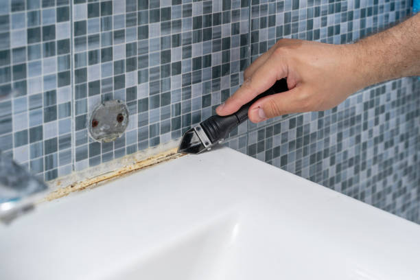 Best Home Mold Removal  in Yermo, CA